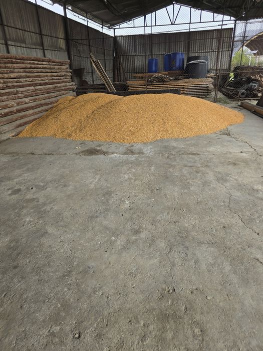 Porumb boabe premium
