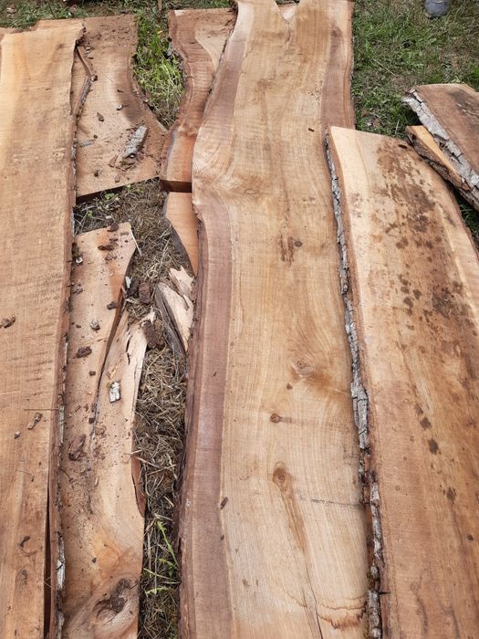 Lemn nuc pentru prelucrare masuta cafea si foastan taiat de nuc 5cm+-