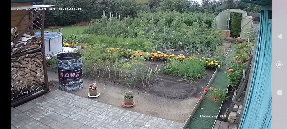 Продам дачу в обществе Ромашка