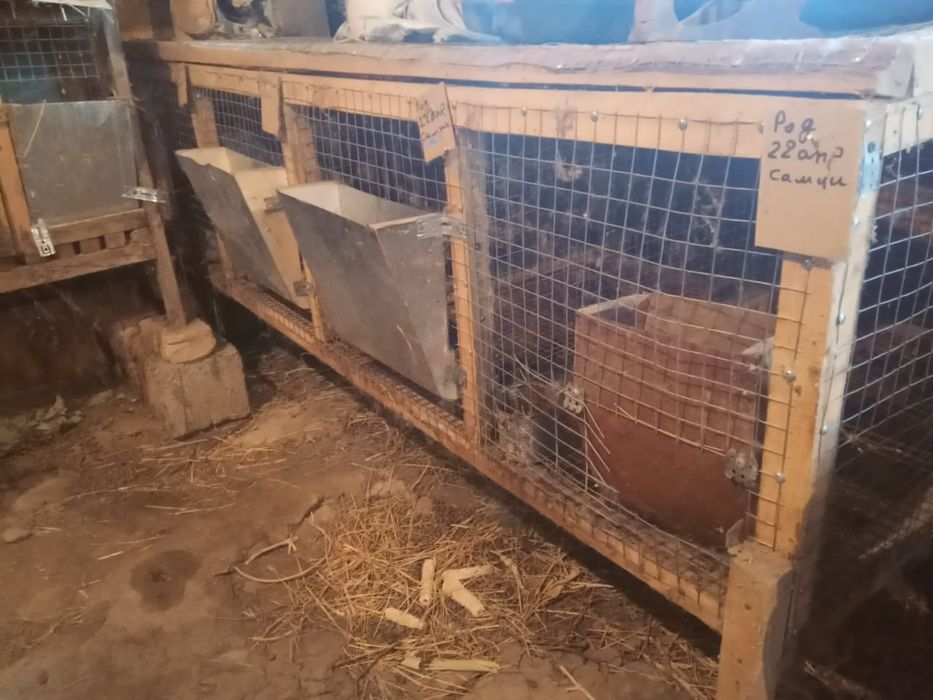 Клетки для кроликов