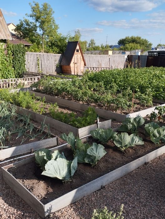 Благоустроенный дом