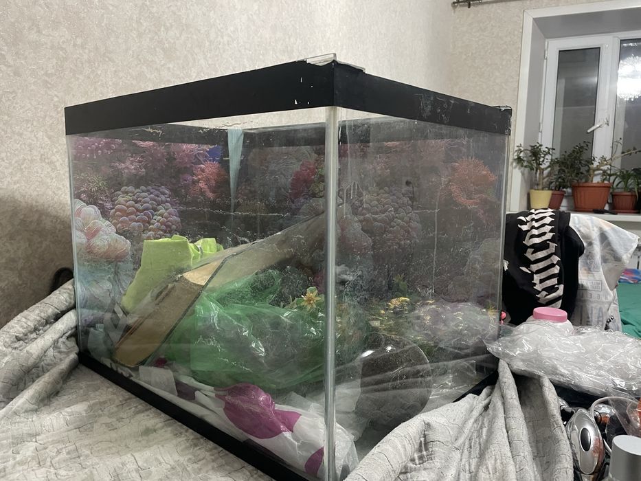 Продам аквариум срочно !!!