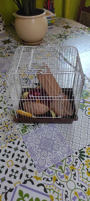 Клетка для хомяка