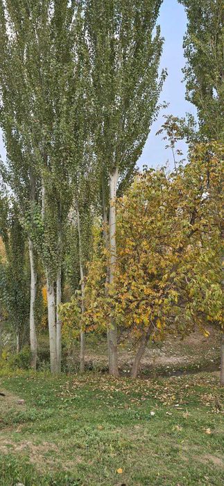 Продам участок 10 соток