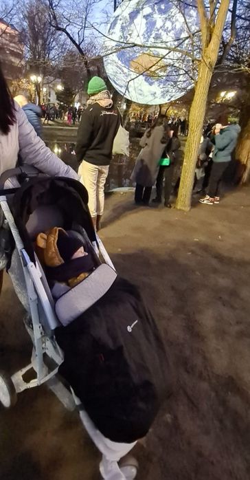 Carut Sport Euro Cart Volt