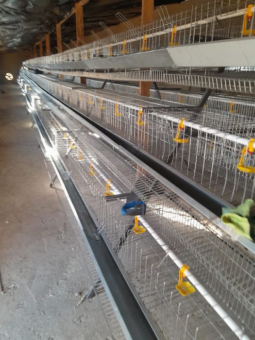 Клетки для кур нисушки продам.