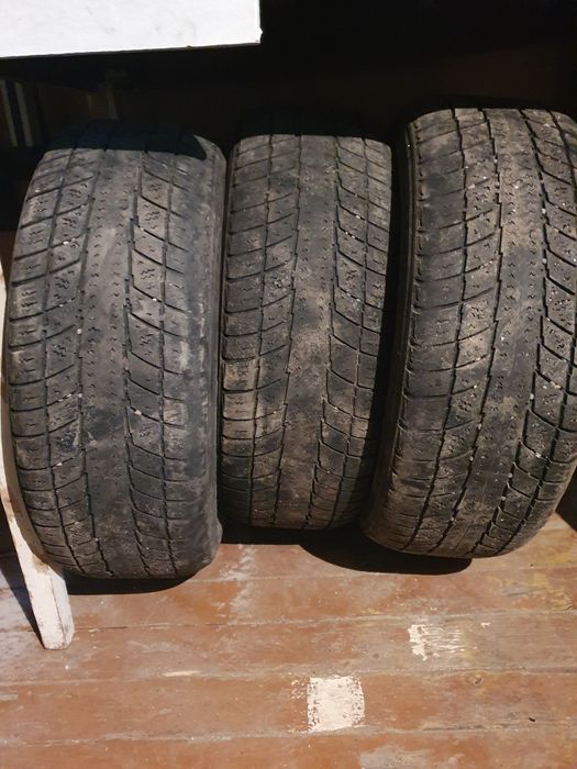 Резина Triangle на 14