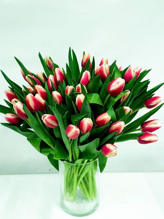 Тюльпаны Белоусовка