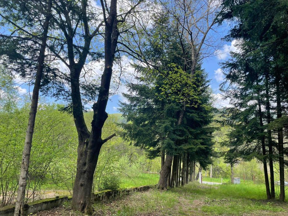 Продава се Парцел в Копривщица - 5551 кв.м за 55 €/кв.м - Снимка #3