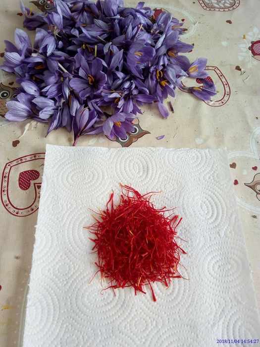 Șofran stamine (condiment)