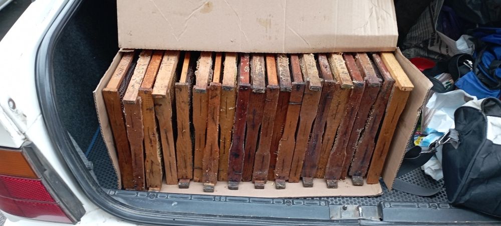 Сушь (рамки для пчел)