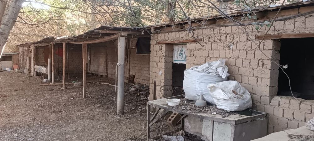 Земельный участок сдаётся в аренду. Yer ijaraga beriladi.