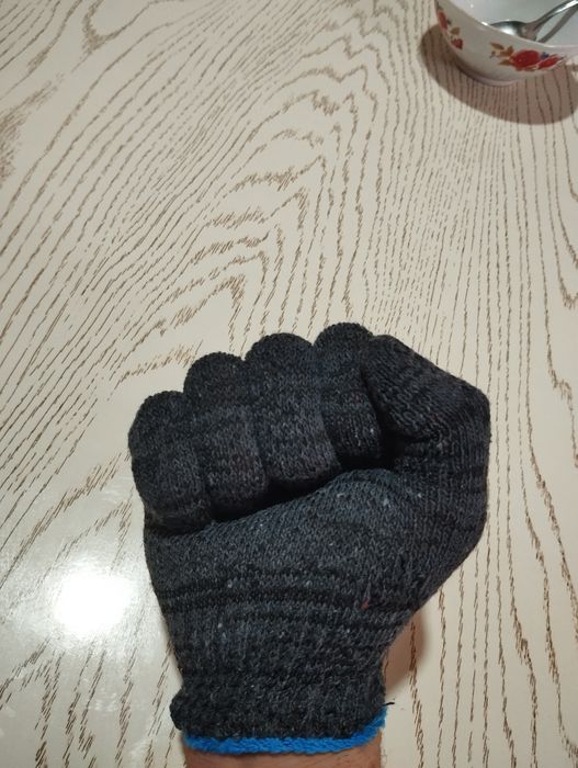 Xoʻjalik qoʻlqoblari