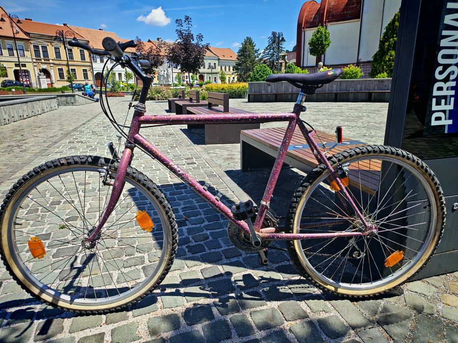 Bicicleta Mtb retro vintage pro line