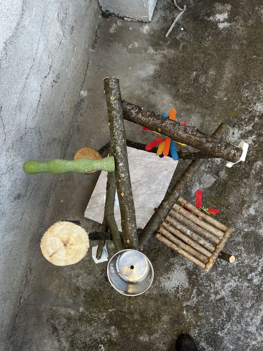 Кацалка за папагал