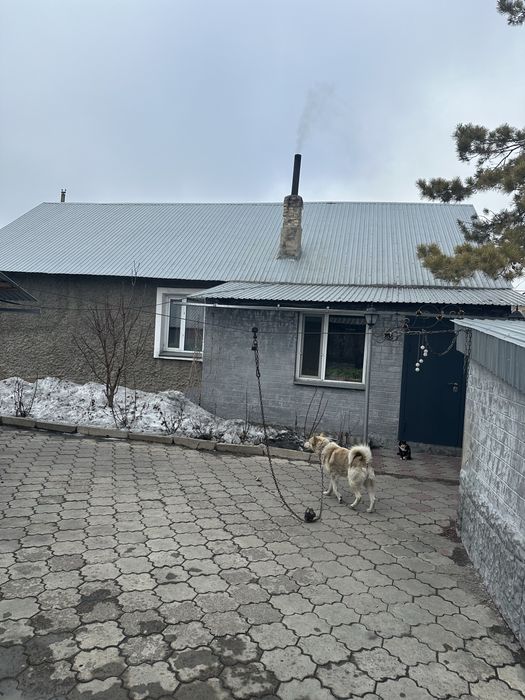 Продается дом на одного хозяина