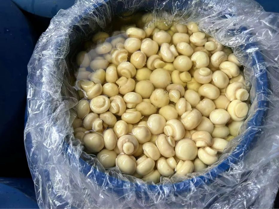 Грибы шампиньены в рассоле. Qóziqorin shampinyon