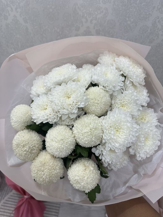 Продам цветы купили сегодня