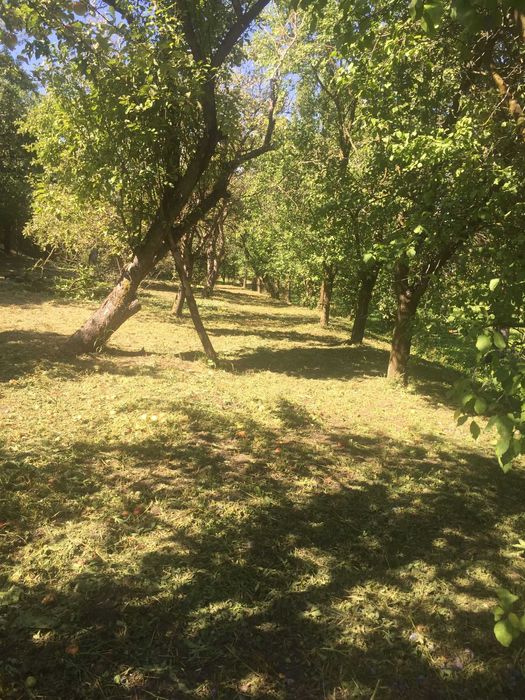 Teren 2030 mp | Sat Gheorghieni  | Asfaltat  |  Pers. Fizica