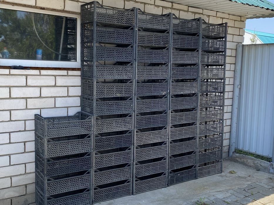 Продам пластиковые ящики
