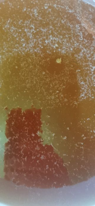 Пчелен билков мед 2025 безплатна доставка за Варна