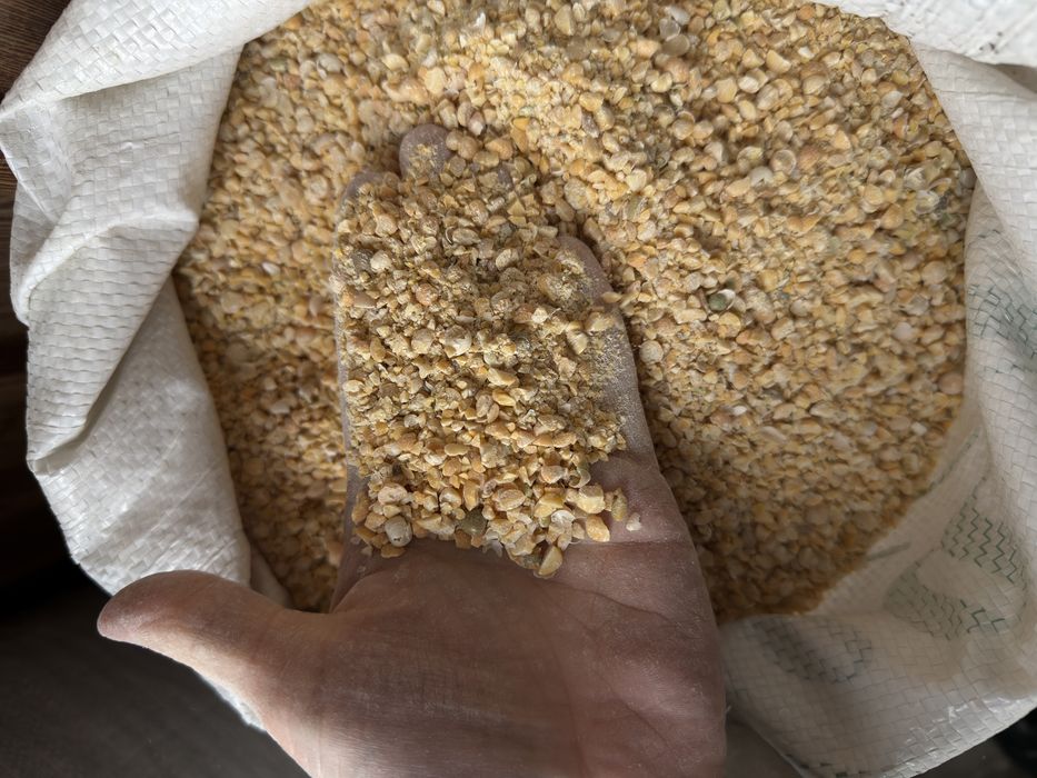 Горох в мешках чистый