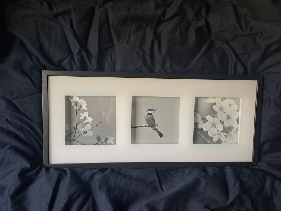 Картина ИКЕА. Красивая . Стильная. В чёрной рамке.