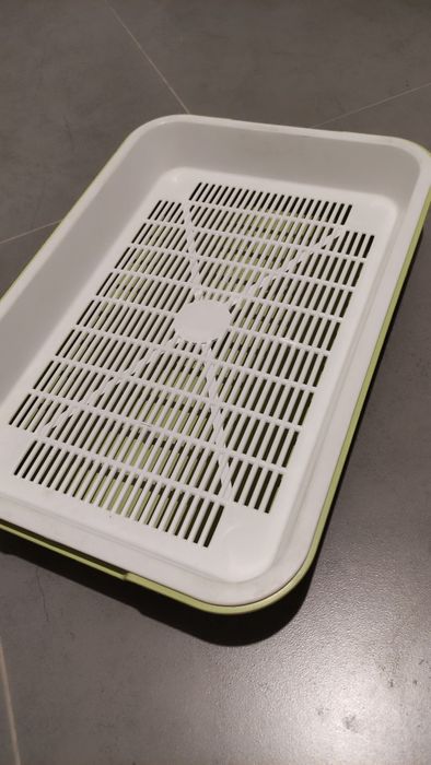 Лоток для кота и миски