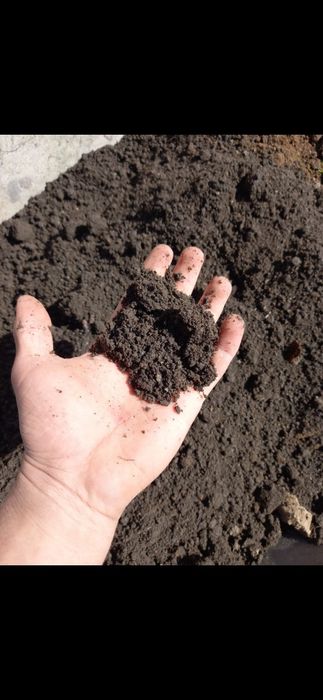 Чернозем , перегной .