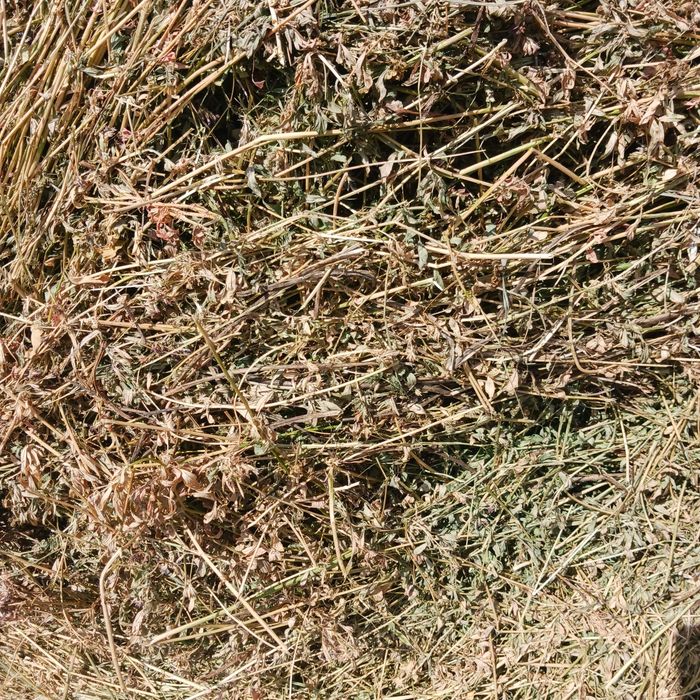 Baloti lucerna extra calitate  coasa 3 130x125