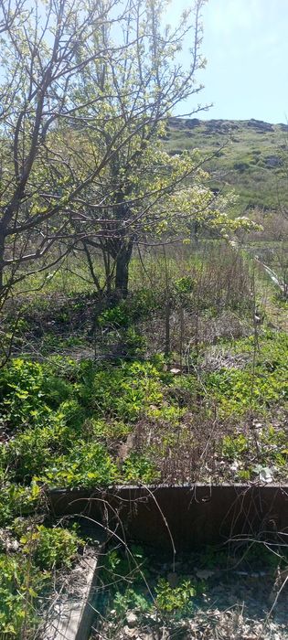 Продам дачу правый берег