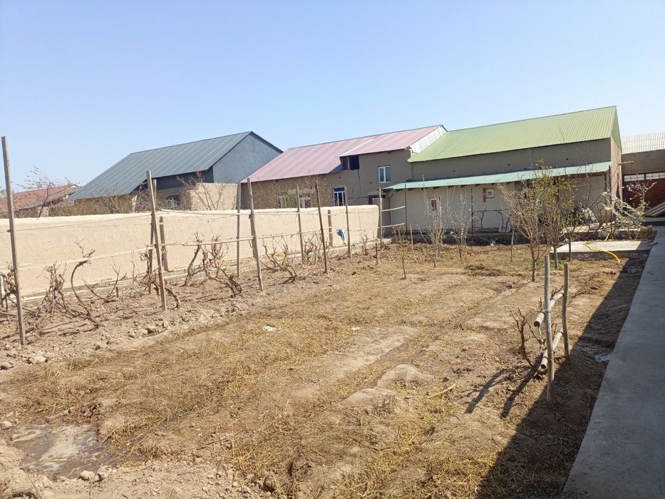 Хонқа Навоийда 650 кв.м ҳовли сотилади