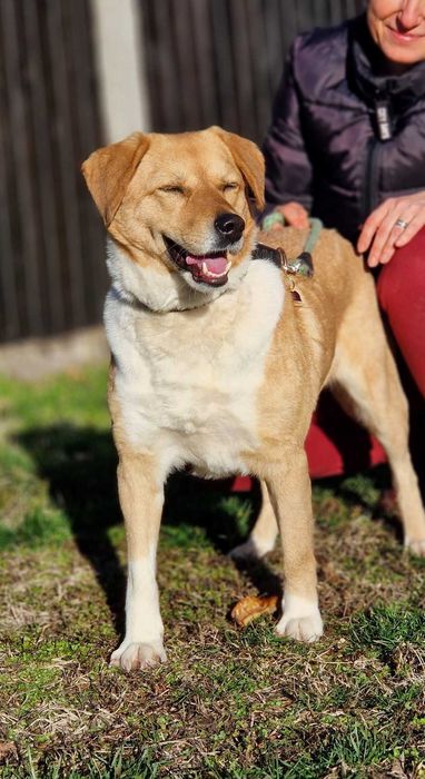 Търси се дом за Бела