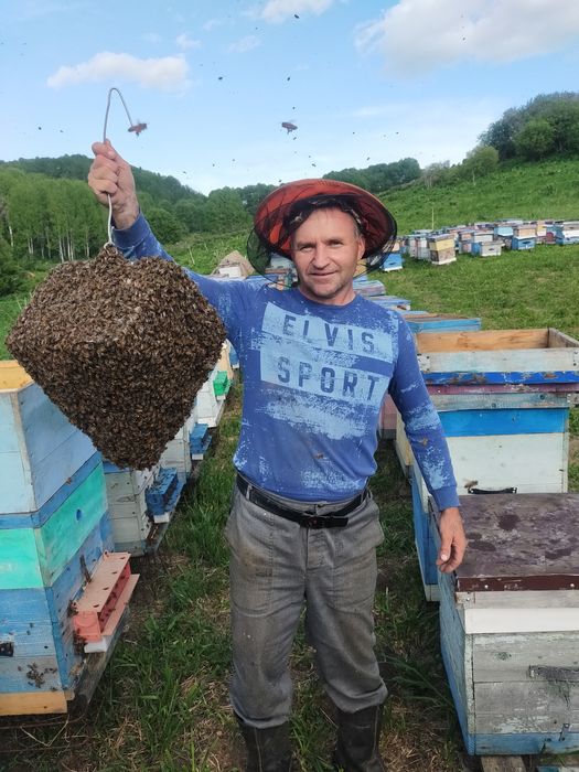 Мед с личной пасики