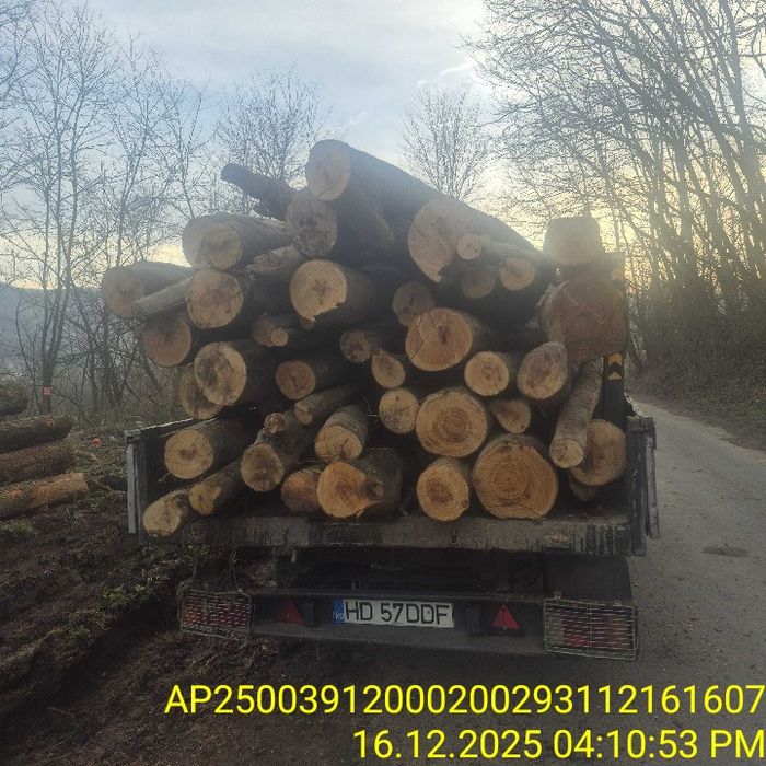Lemn de foc Fag Stejar! Cele mai bune preturi!