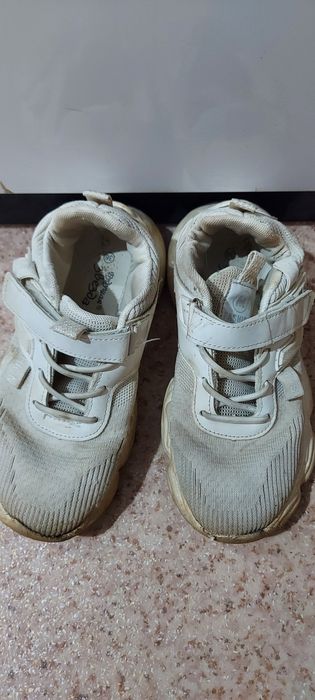 Отдам    бесплатно