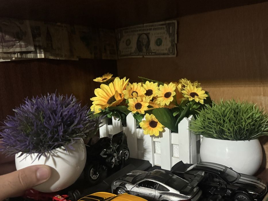 Продается рыба,аквариум,многа Camaro  коллекция автомобилей Porshe