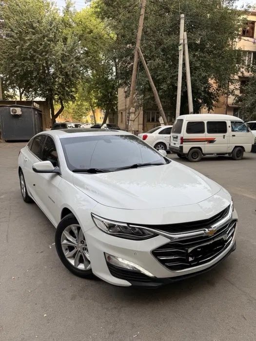 Malibu 2 primier ariginal