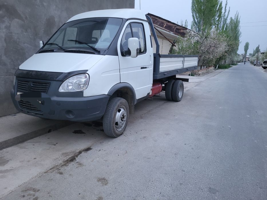 Газел Gazel сотилади