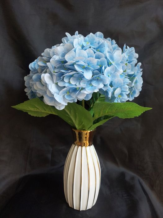 Sovg‘abob Orxideya gartenziya zakazga