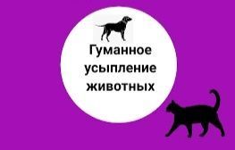 Эвтаназия домашних животных