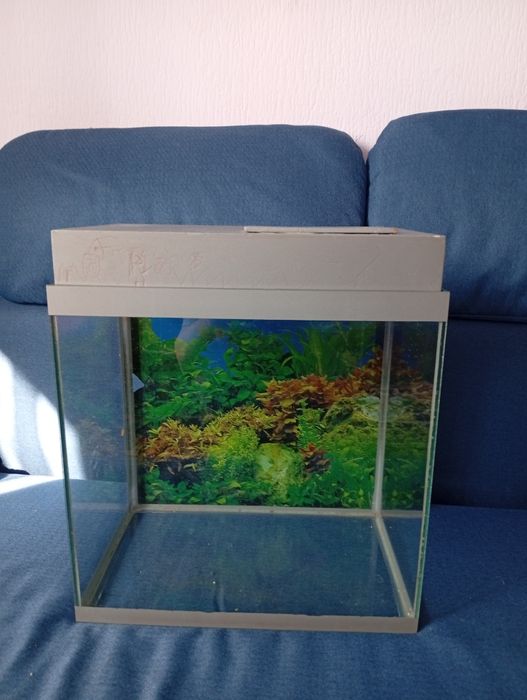 Аквариум стеклянный