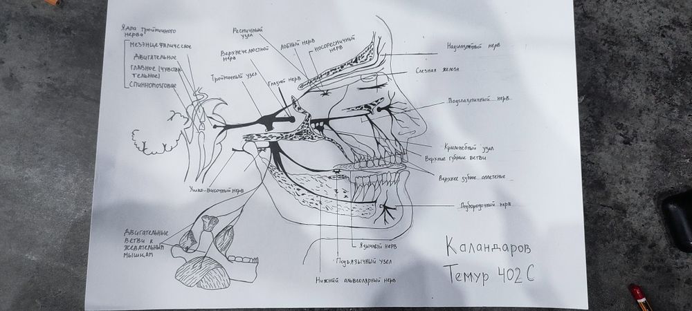САМЫЕ ВЫГОДНЫЕ ЦЕНЫ Срочно помогу студентам - конспекты, эссе, дедлайн