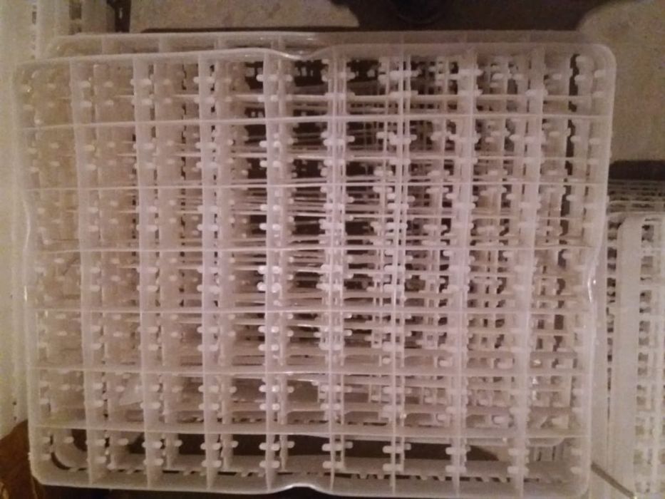 Лотки для инкубации яиц