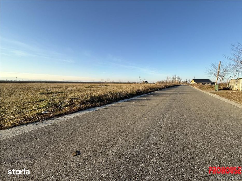 Letea Veche- Holt - 3.600mp - extravilan