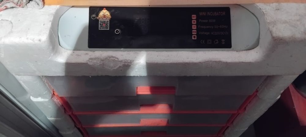 Продаётся инкубатор