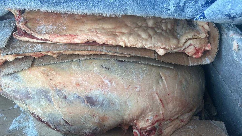 Свежее мясо конина