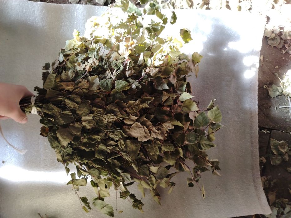 Продам банные веники