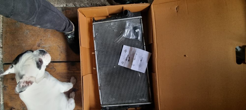 Vand radiator apa, racire bmw e90,X1