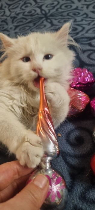 Новогодние ёлочные игрушки СССР